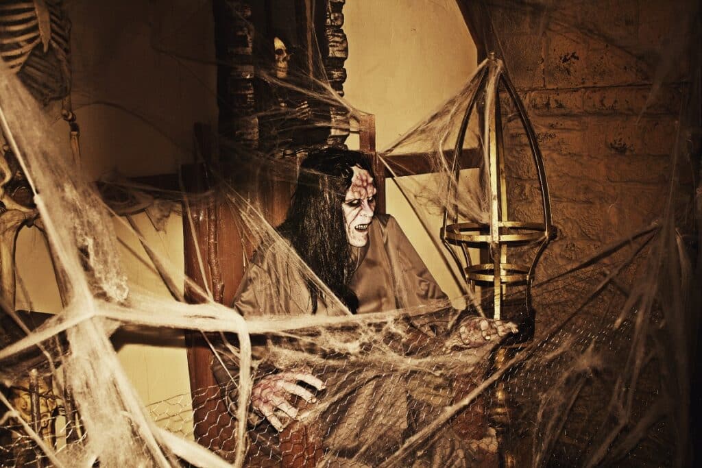 CASTILLO DEL TERROR (2)